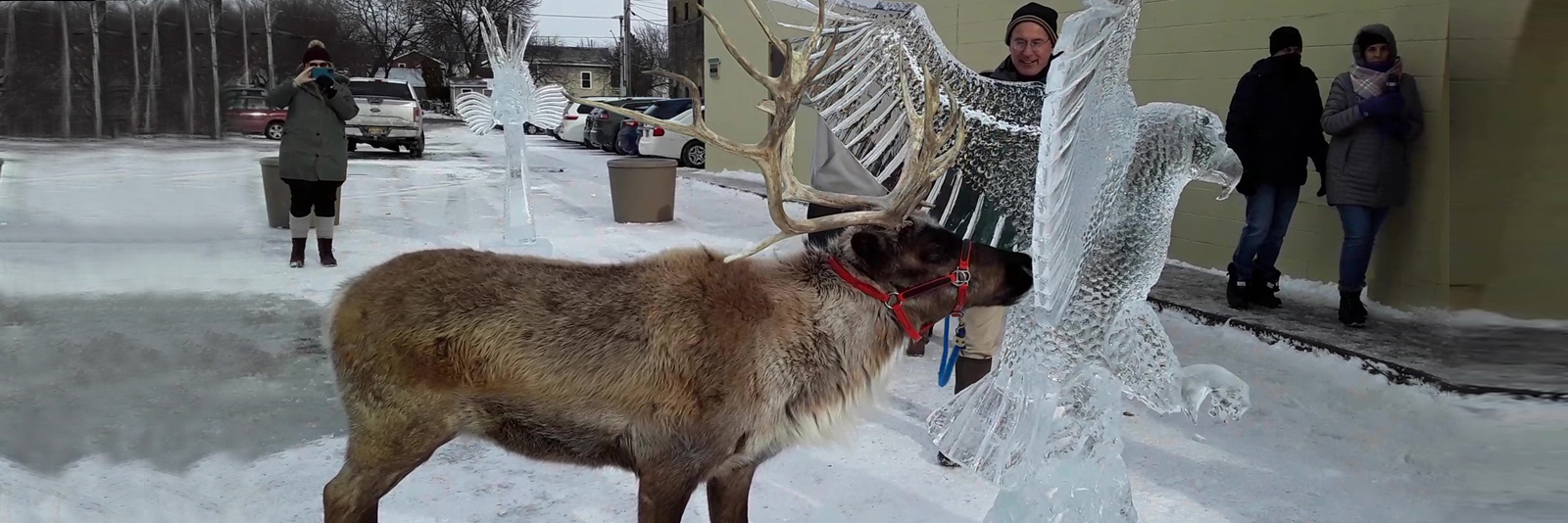 Reindeer licking an ice sculpture of an eagle