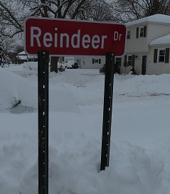 Reindeer Rd Signpost